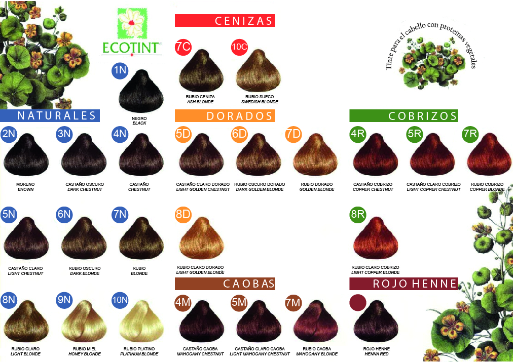 Imagen del producto Ecotint Tinte Vegetal CastaÃ±o Oscuro 3N de Laboratorios Ecotint ( ECOTCOSMECOT )